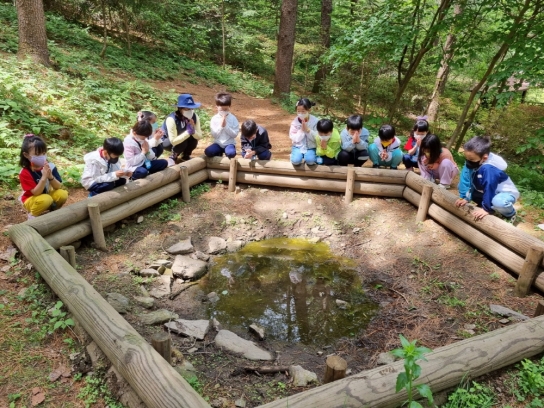 춘천국유림관리소, 딴산 유아숲체험원 조성사업 추진