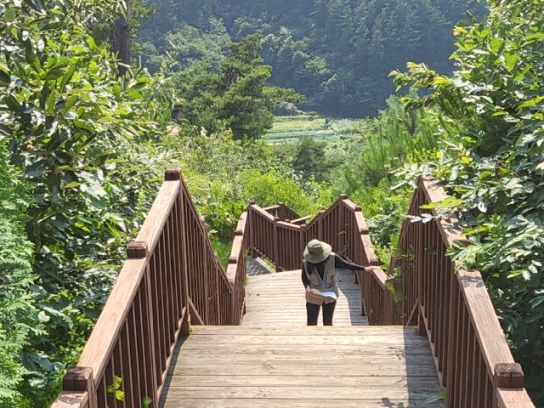 수원국유림관리소, 산림복지시설 안전점검 실시