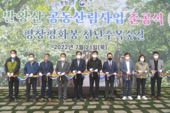 평창군, 발왕산 평창평화봉숲길 공동산림사업 준공으로 올림픽유산사업 활성화
