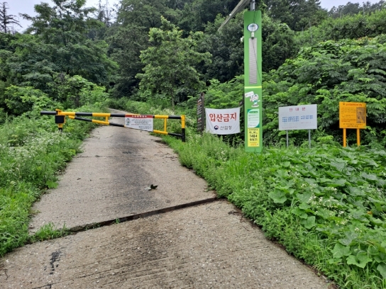 추석 성묘객을 위한 국유임도, 활용하세요!
