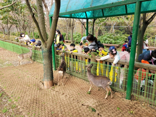 노루생태관찰원,‘생태 체험 프로그램’ 어린이들에게 뜨거운 호응
