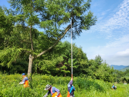 채종원산 종자 한 톨도 남김없이 확보