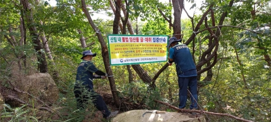 구미국유림관리소, 가을철 산림 내 불법행위 특별단속