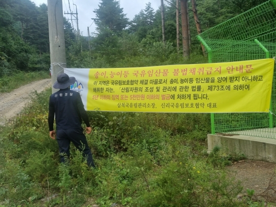 삼척국유림관리소, 가을철 산림 내 불법행위 특별단속
