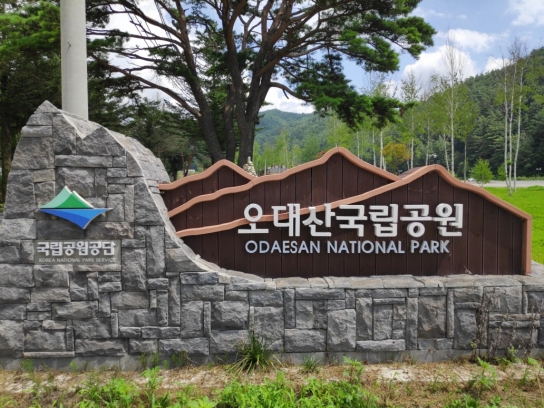 오대산국립공원, 태풍 힌남노 북상에 따른 야영장, 탐방로 통제