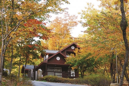 국립자연휴양림, 국민과 함께 만드는 산림휴양서비스