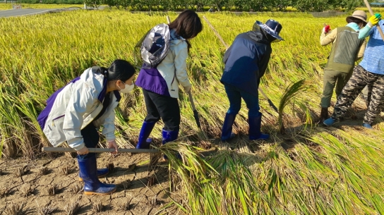국립청도숲체원, 가을철 농번기 농촌 찾아 굵은 땀방울 흘려