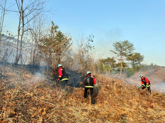 경남 진주 산불발생... 80분만에 진화완료
