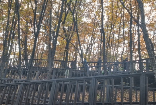 국민건강보험공단, 건강 지키는 산림치유 체험