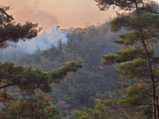 경북 경주시 산불발생... 1시간 02분만에 주불 진화완료