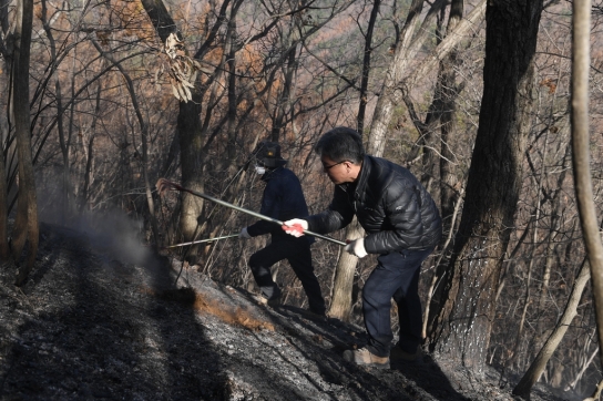 전북 완주군 산불발생... 산림당국 진화중