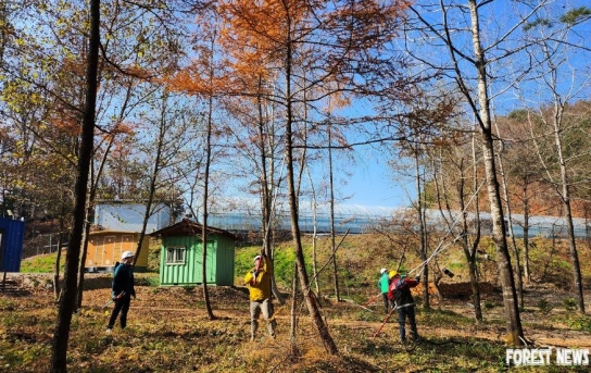 무주국유림관리소, 숲가꾸기 체험행사 개최!!