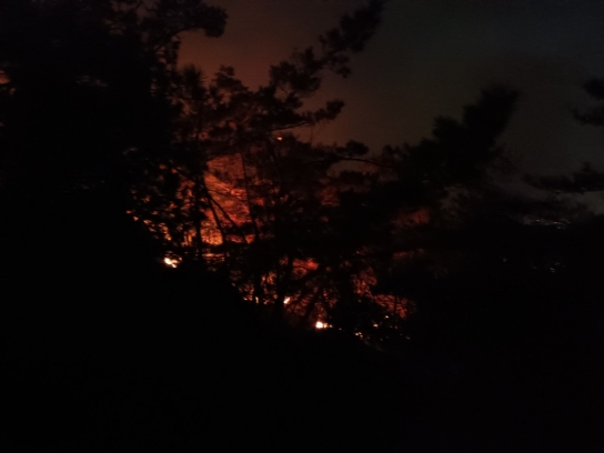 경기 과천시 산불 2시간 19분만에 진화완료