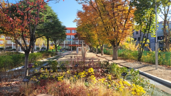 꿈과 놀이가 있는 학교숲 6곳 선정