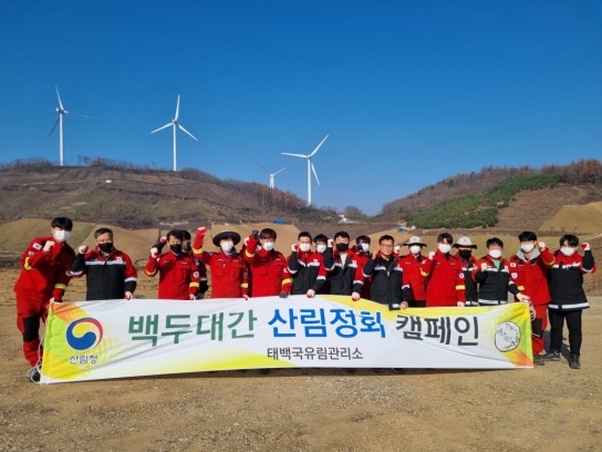 태백국유림관리소, 백두대간 산림정화활동 전개
