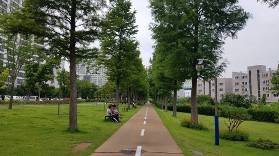 도시숲! 탄소흡수원으로 인정되요