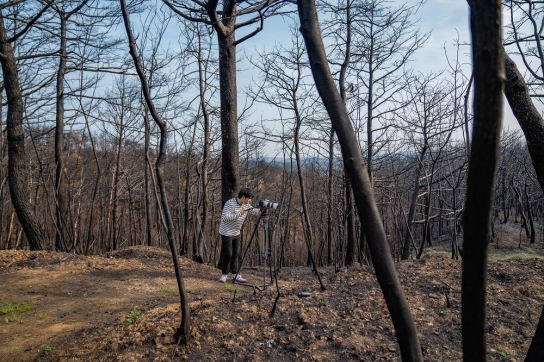 숲영상 만들던 청년들, 산림기업으로 성장!