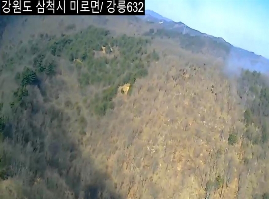 강원 삼척시 산불... 44분만에 진화 완료