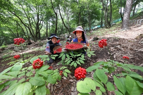 함양군, 산림청 산림소득분야 전국 '최우수' 기관 선정