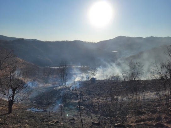 충남 부여 산불발생.... 1시간 29분만에 주불 진화완료