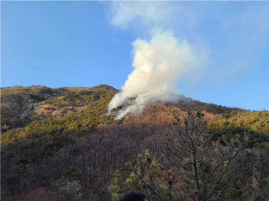 대전 유성구 산불발생... 산림당국 진화중