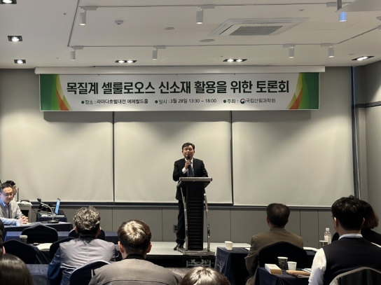 목재로 만드는 친환경 신소재
