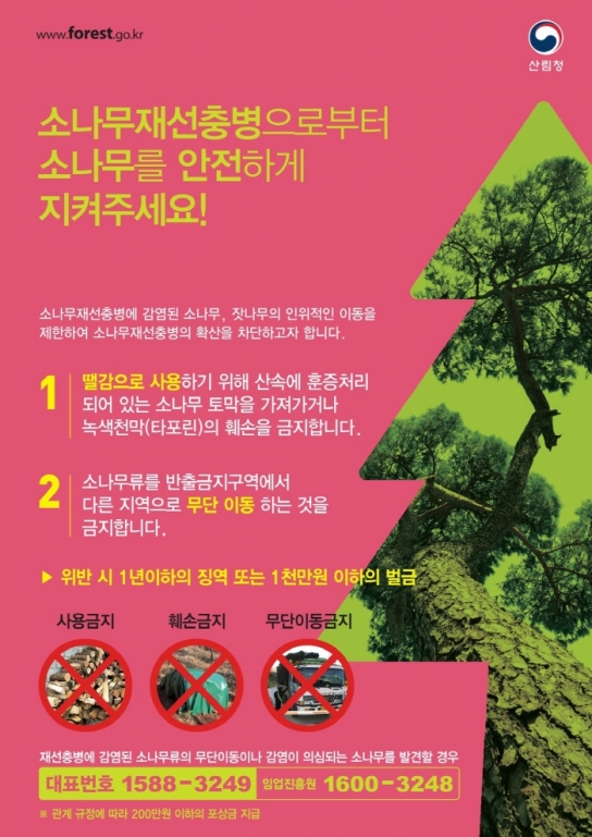 소나무재선충병 피해목 함부로 옮기지 마세요!