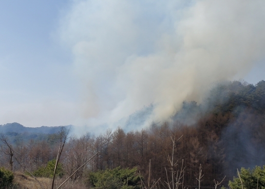 강원 철원 산불발생.... 산림당국 진화중