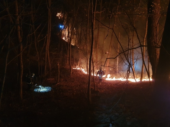 충북 제천 야간 산불발생.... 2시간 35분만에 주불 진화완료