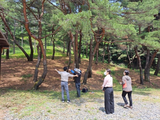 5월, 전국 수목장림 합동 점검 실시