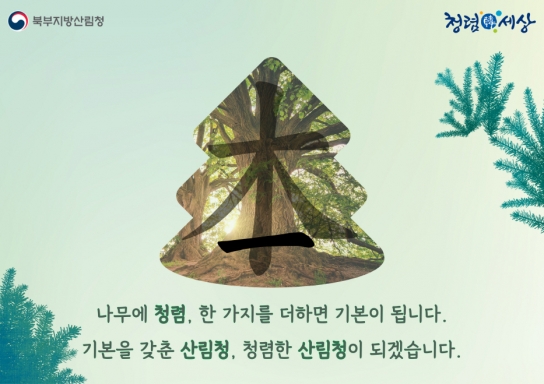 양구지역 나무 나무어주기 행사에서 청렴 문화 확산