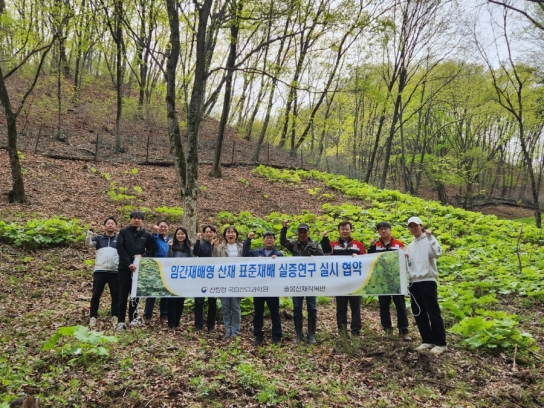 산지 재배형 산채 안정적 생산 위한 실증연구 착수