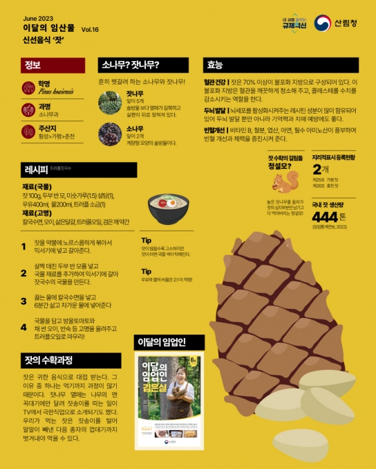 6월 이달의 임산물 ‘잣’