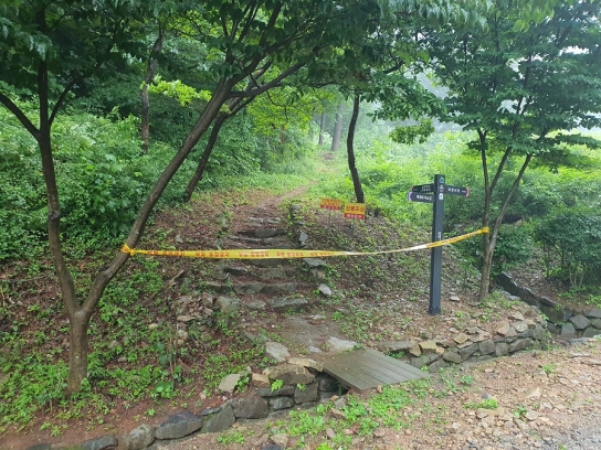 계속되는 집중호우에 디엠지(DMZ)펀치볼 둘레길 등 숲길 출입 통제