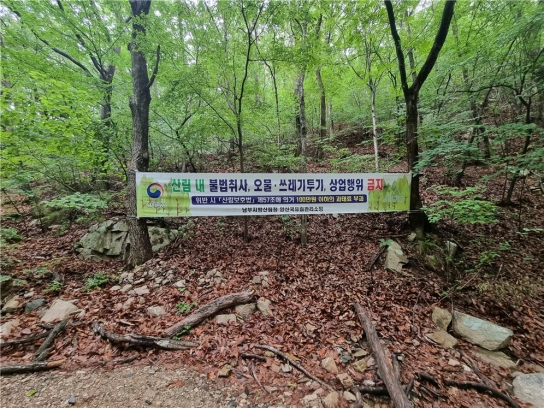 양산국유림관리소, 여름철 산림 내 불법행위 집중단속