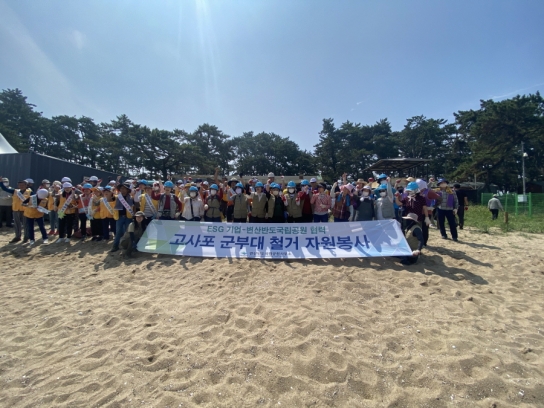 고사포해수욕장, 35년 만에 되찾은 송림