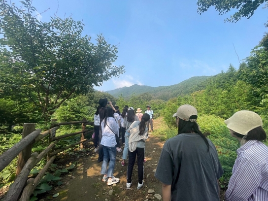 사회서비스 종사자 심리회복을 위해 숲을 찾다