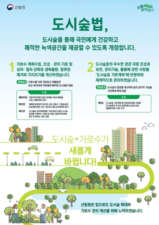 올바른 가로수 가치치기를 위해 도시숲법 개정