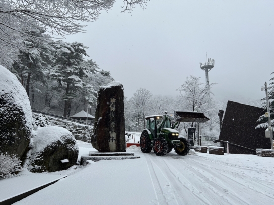산림청, 대설 피해예방 산림 안전관리 강화
