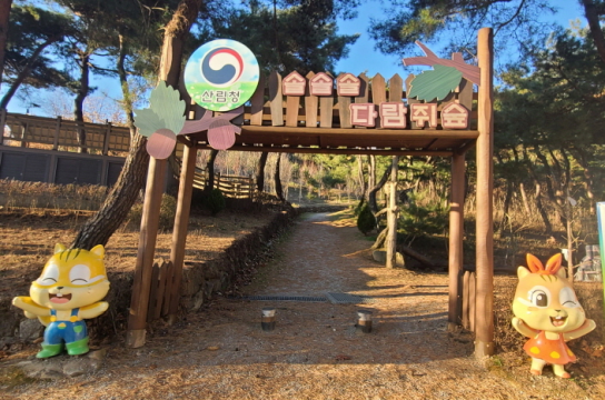 유아숲체험원 재정비 예산 확대로 안전관리 강화