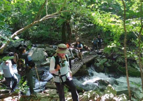 북부지방산림청 민북지역국유림관리소, 2024년 숲길등산지도사 모집