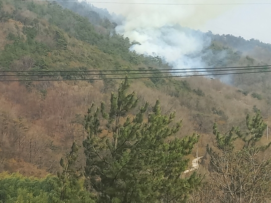 전남 순천시 별량면 산불진화 완료