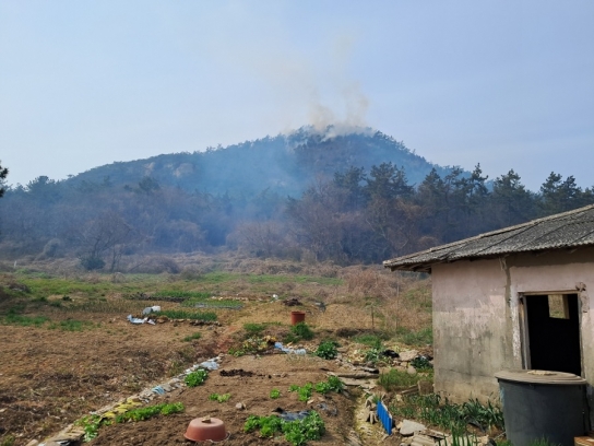 전북 군산시 옥도면 산불진화 완료