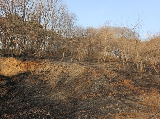 경기도 화성시 산불발생 및 진화완료