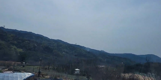 대구 동구 능성동 산불발생... 진화완료