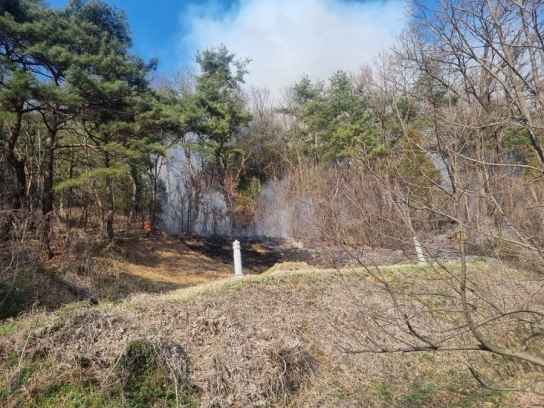 경북 예천군 지보면 산불발생... 진화완료
