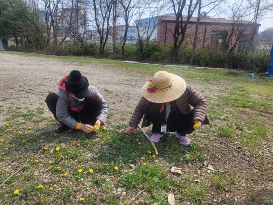 화성시, 경증 치매 어르신 대상 산림치유 프로그램 ‘녹색충전의 숲’ 운영