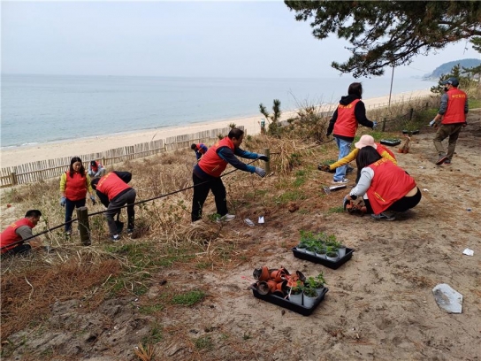 변산반도국립공원, 식목일 기념 지역사회 참여 사구식물 식재로 해양생태계 건강성 증진