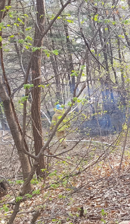 경기 성남시 분당구 산불발생... 진화완료