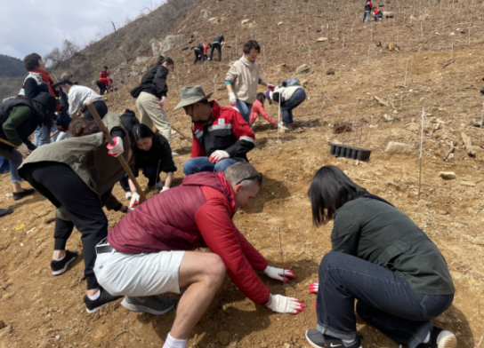 국립산림과학원의 기후행동, 온실가스 흡수를 위한 나무심기 행사 개최
